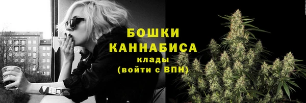 Альфа ПВП Гусиноозёрск