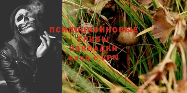 Альфа ПВП Гусиноозёрск