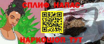 МДПВ Заводоуковск