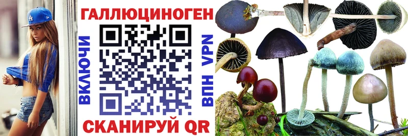 наркотики  MEGA сайт  Галлюциногенные грибы Psilocybine cubensis  Пыть-Ях 