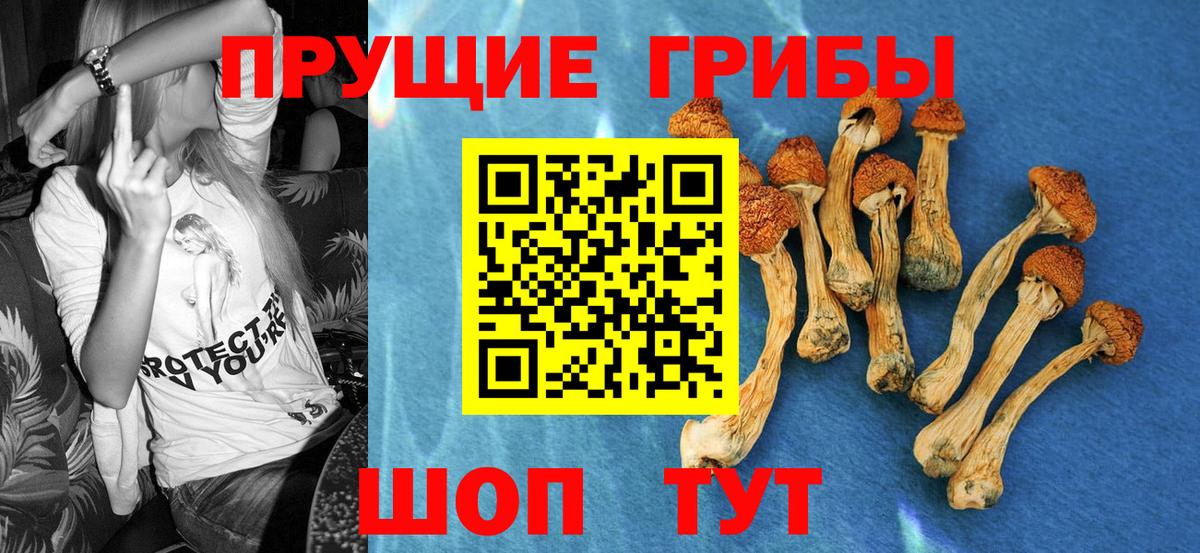 Псилоцибиновые грибы мухоморы Пыть-Ях