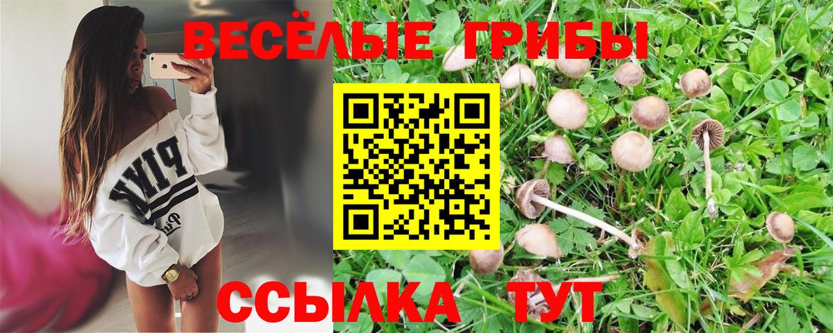 Галлюциногенные грибы Psilocybine cubensis  наркотики  Пыть-Ях  Псилоцибиновые грибы Psilocybe 