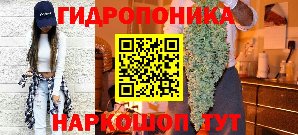 Бошки Шишки конопля  Шишки марихуана White Widow  Канабис семена  Вход с VPN  Шишки марихуана VHQ  Пыть-Ях 
